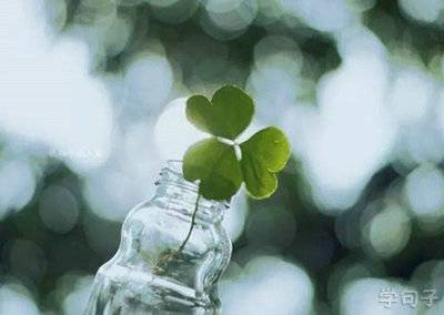 泸州护国公园导游词