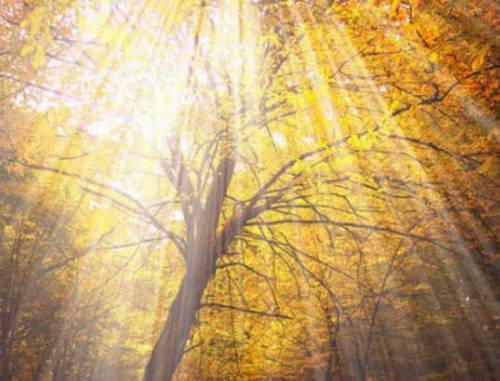 游山西村古诗赏析