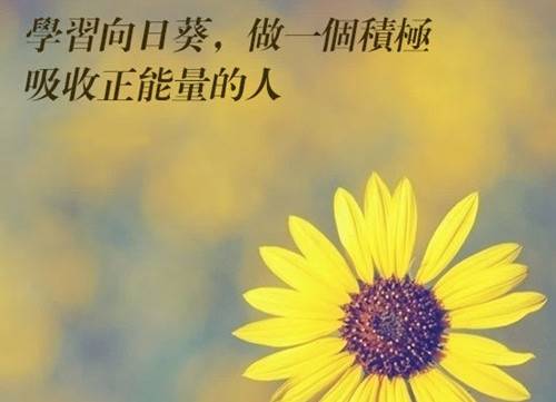 飞花令秋的诗句