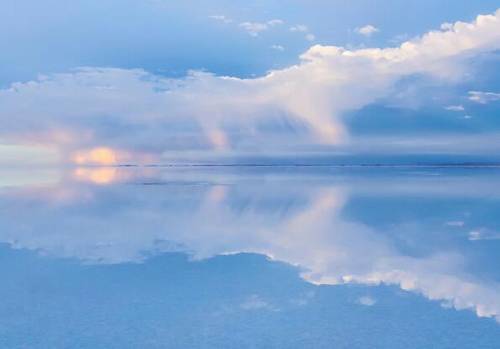 形容莲花品质的诗句