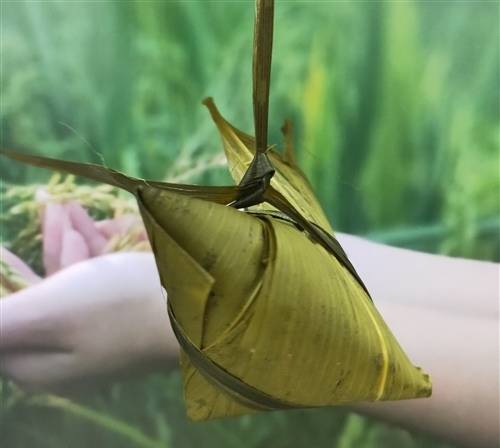 唐诗三百首之古诗解析