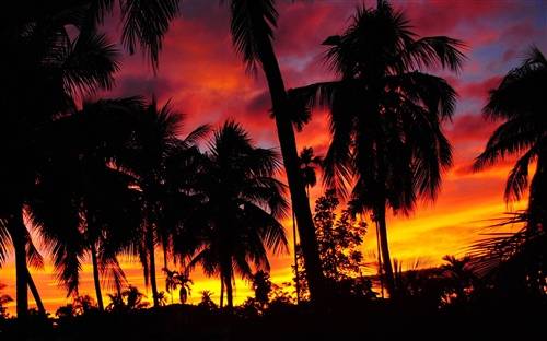 中国古诗词励志