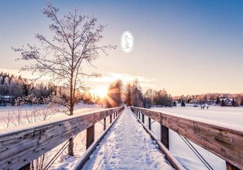 赞美叶子漂亮的诗句