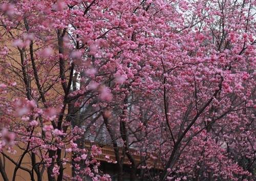 描写梦中相见会的诗句