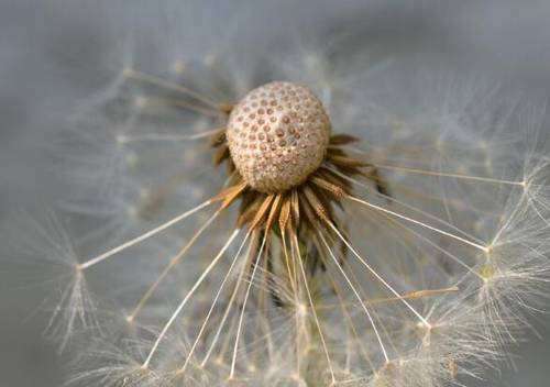 锦屏湿地公园导游词