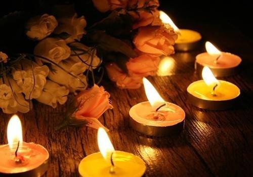 赞美菊花茶的诗句