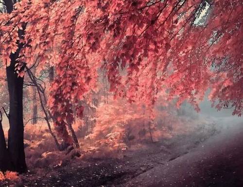 春在第四个字的诗句