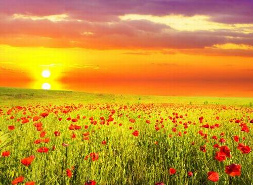 王维的相思的诗句