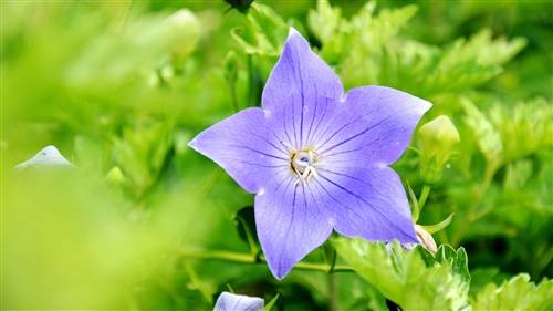 关于写青春的古诗