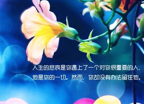 表达喜爱之情的诗句