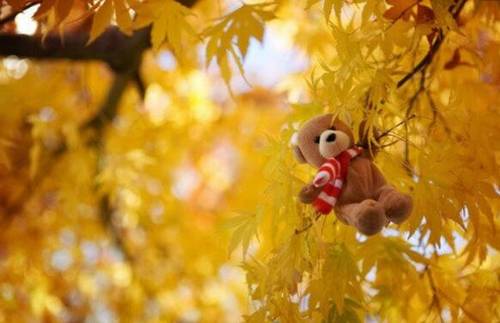 感通索道导游词