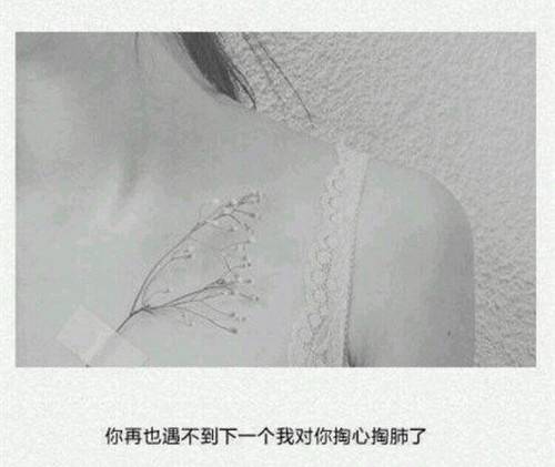 表达人生态度的诗句