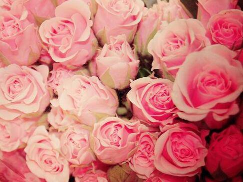 表达兴趣爱好的诗句