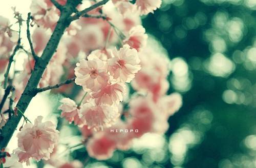 形容监狱的诗句