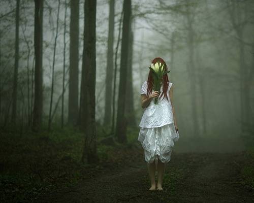 茱萸峰的导游词