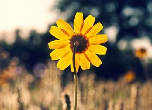 八达岭长城诗句