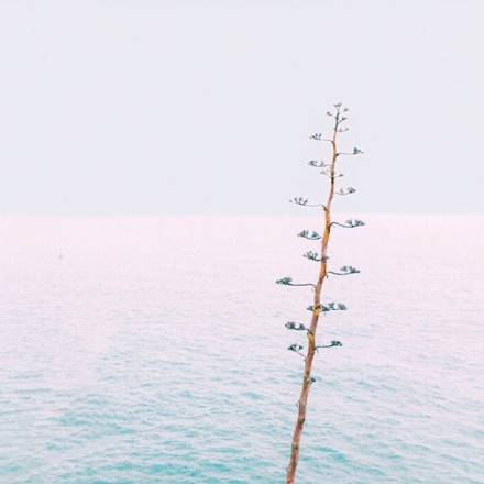 君山岛导游词作文