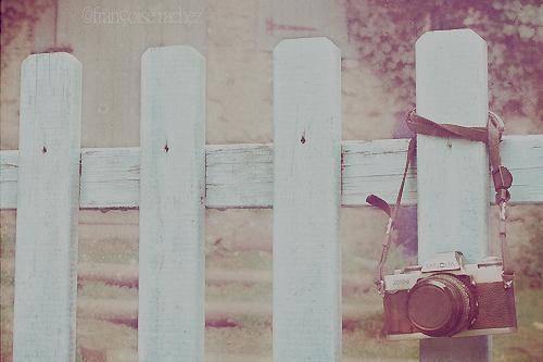 海上落日的诗句