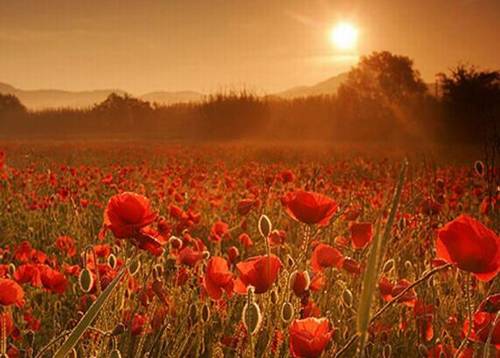 春天的成语和诗句