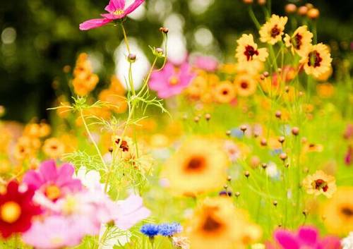 关于自省的古诗词