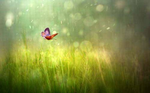 看不清人心的诗句短句