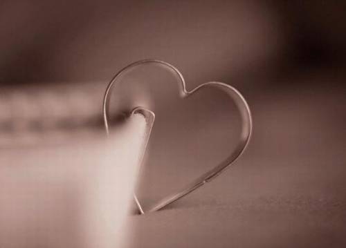 描写玫瑰的古诗