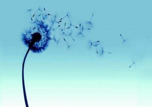 描写春天的五言诗句