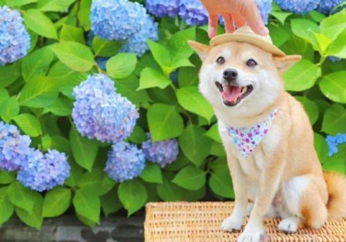 陇西行唐陈陶其二古诗