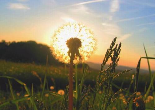 中华最豪气万丈的诗句