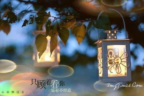 一句赞美梅花的诗句