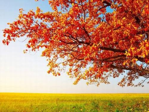 描写碧海蓝天的古诗