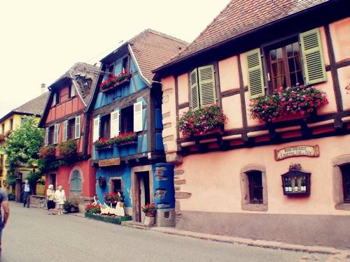 春天景物的诗句