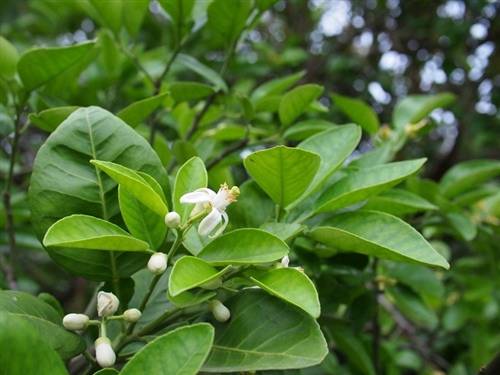 形容坦荡的诗句