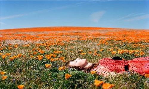 春天相思的古诗词