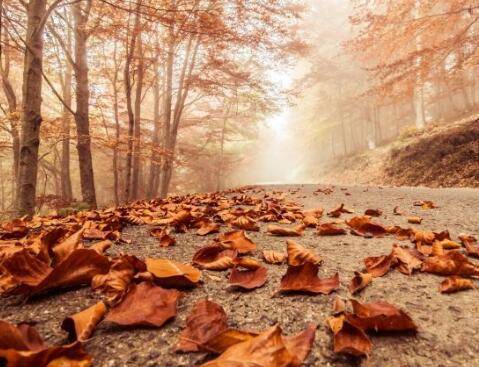 关于酒的搞笑诗句