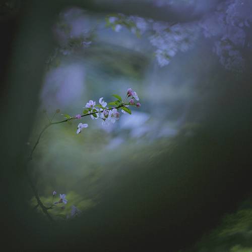 初秋江南古诗词