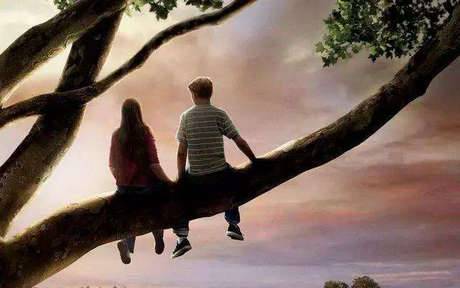 形容紫薇花的诗句