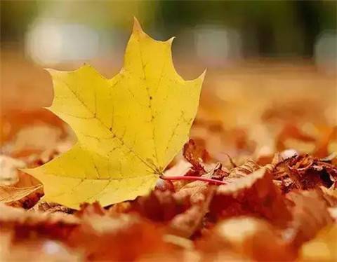 描写晚霞的古诗佳句