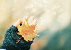 古诗文小报五年级简单