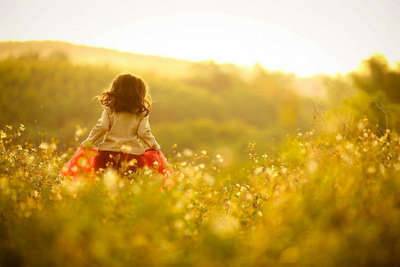 知己难寻的诗句