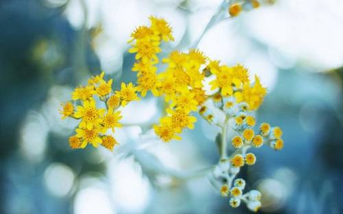 描写后悔的诗句