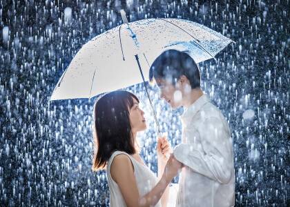 美好爱情诗句经典