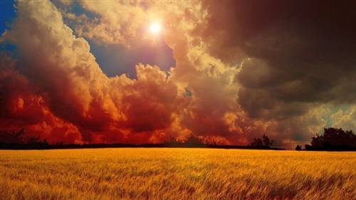 卓字开头的诗句