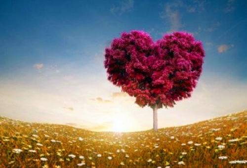 特色民居资料导游词