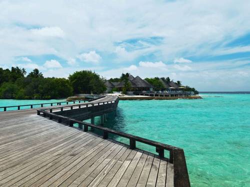 萱字开头的诗句