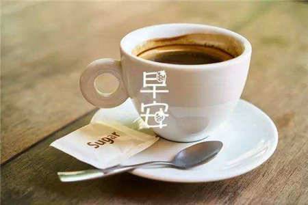 写重阳的诗句古诗