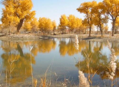 名字开头的诗句