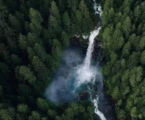 竹石古诗拼音及注释