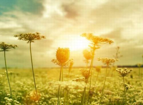 麦积山导游词是谁