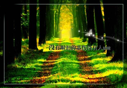 初中语文古诗词文言文